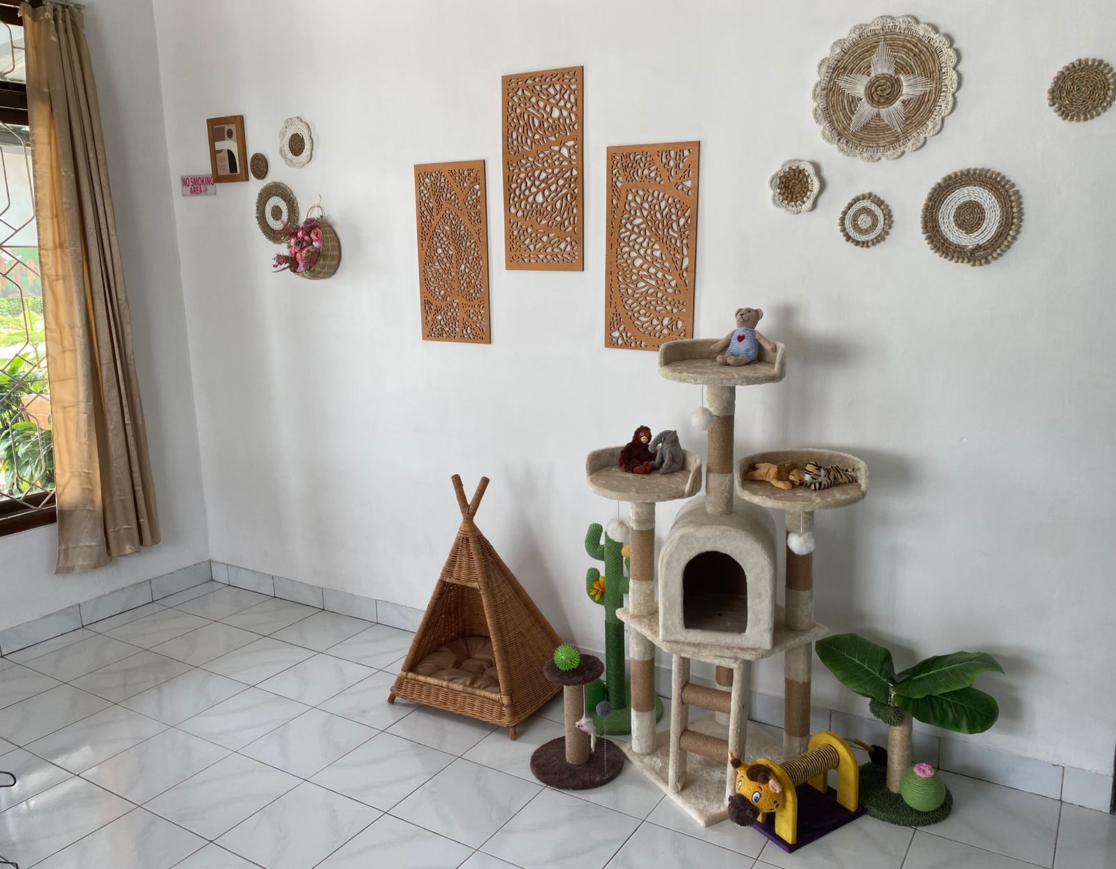 Inside Zoey Cat House